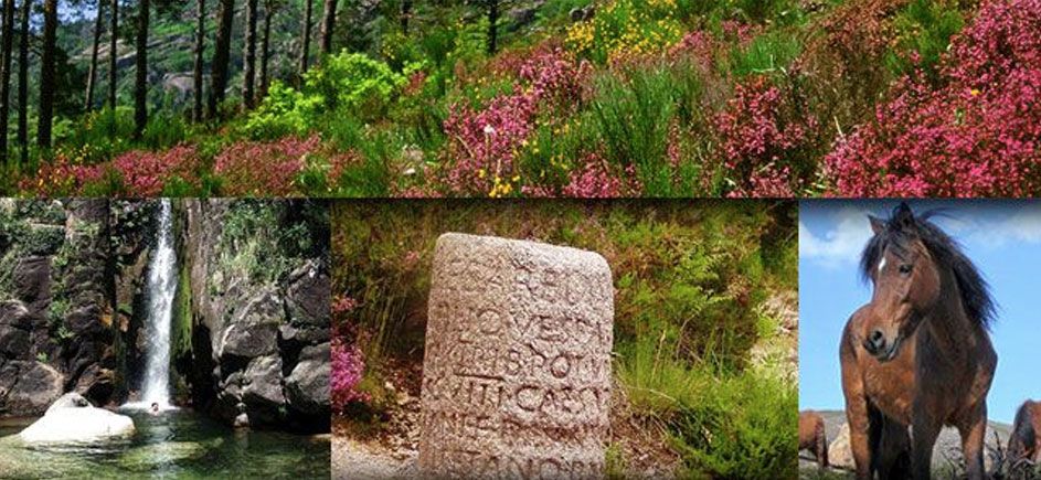 Parque Nacional da Peneda-Gerês 